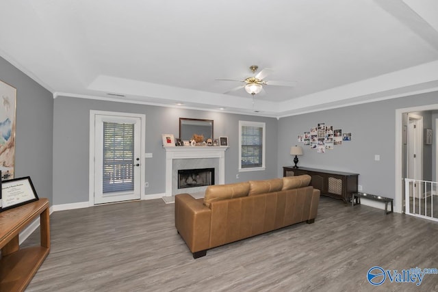 living room featuring hardwood / wood-style flooring, a fireplace, and a raised ceiling