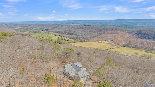 bird's eye view featuring a mountain view