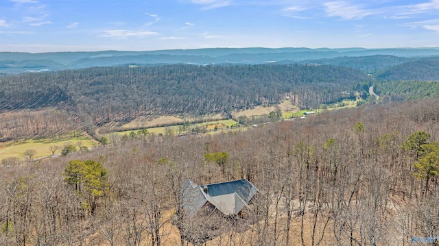 birds eye view of property with a mountain view