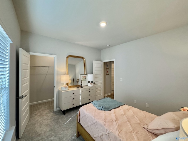 bedroom with carpet, a walk in closet, and a closet
