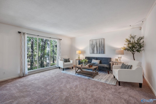 carpeted living area featuring a textured ceiling and baseboards