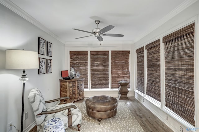 sitting room with dark hardwood / wood-style flooring, crown molding, and ceiling fan