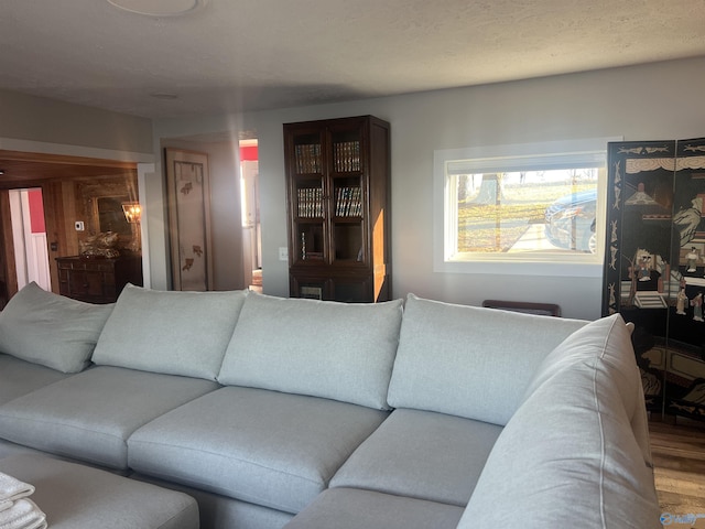 living area featuring a textured ceiling and wood finished floors