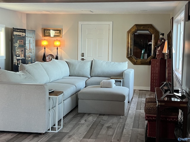 living area featuring a wealth of natural light, baseboards, and wood finished floors