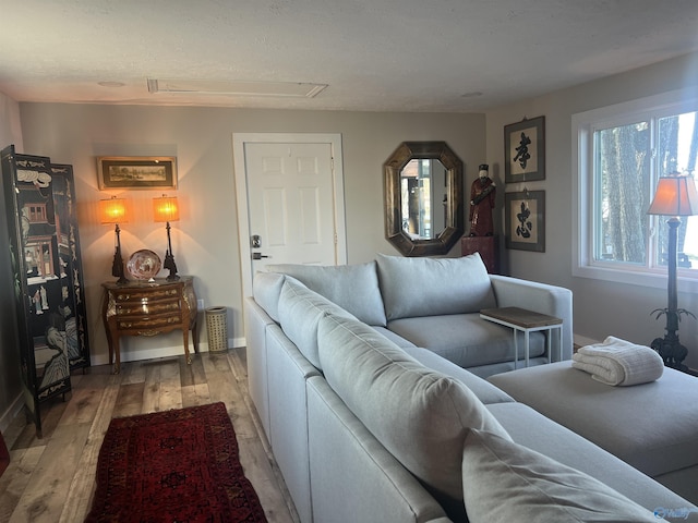 living room featuring light wood-style floors