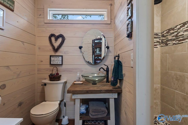 bathroom with vanity, toilet, and wooden walls