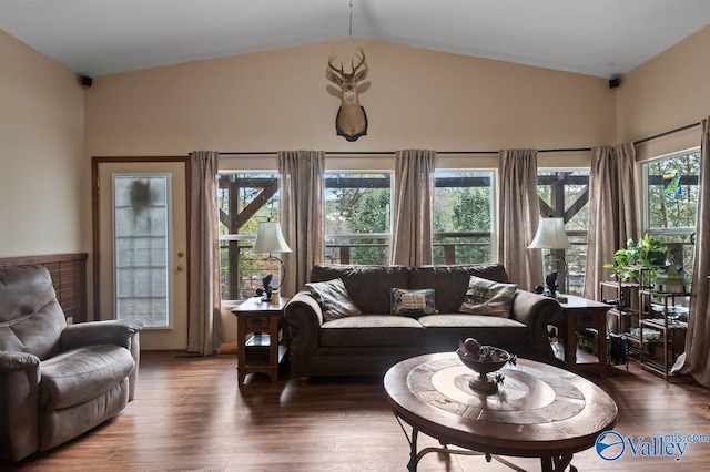 living room featuring dark hardwood / wood-style flooring and vaulted ceiling