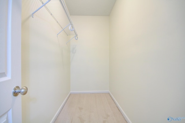 walk in closet featuring light colored carpet