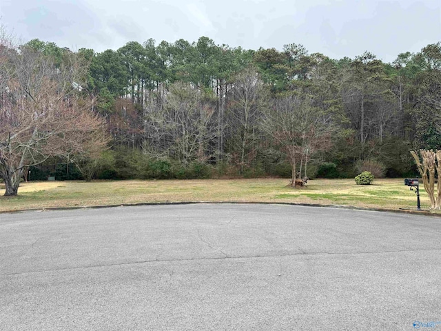 Listing photo 3 for LOT8A Brownwood Ln, Guntersville AL 35976