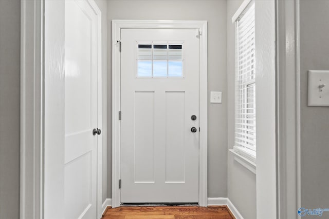 foyer entrance featuring wood-type flooring