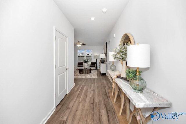 hallway featuring wood finished floors