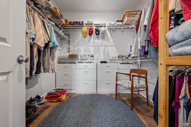 walk in closet with dark hardwood / wood-style floors