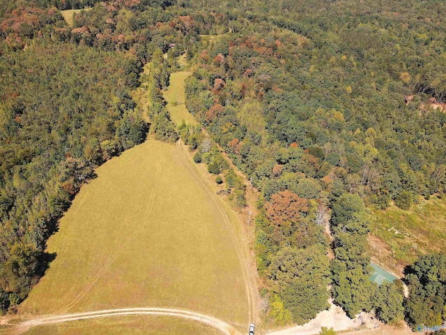 117ACRES County Road 140, Town Creek AL, 35672 land for sale