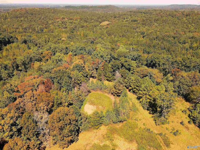 Listing photo 2 for 117ACRES County Road 140, Town Creek AL 35672