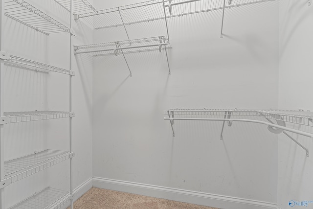 119 Railway Ln SE, Huntsville, AL 35803 - walk in closet featuring carpet