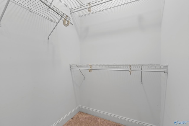 119 Railway Ln SE, Huntsville, AL 35803 - walk in closet featuring carpet flooring