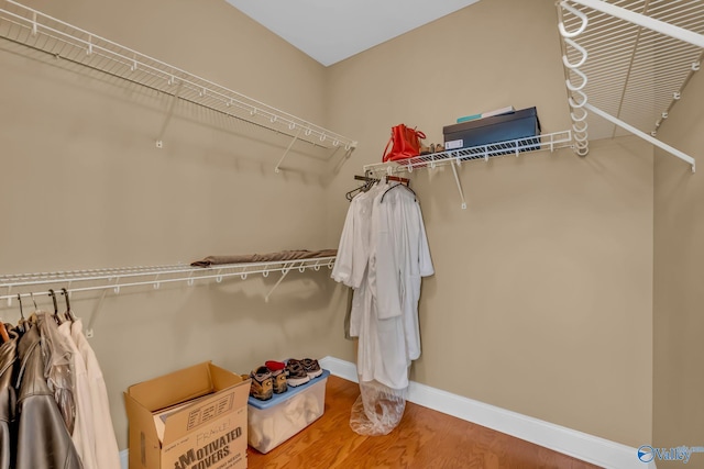 walk in closet with wood-type flooring