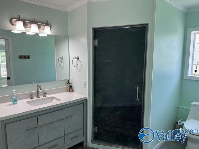 bathroom with ornamental molding, a healthy amount of sunlight, vanity, and toilet