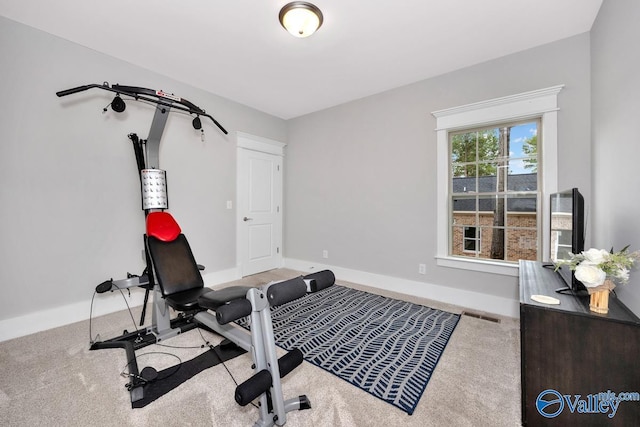 workout area with carpet