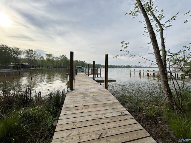 dock area with a water view