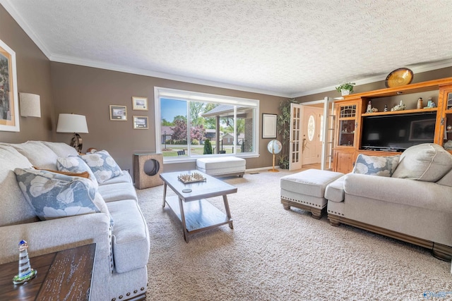 carpeted living room featuring crown molding, baseboards, and a textured ceiling