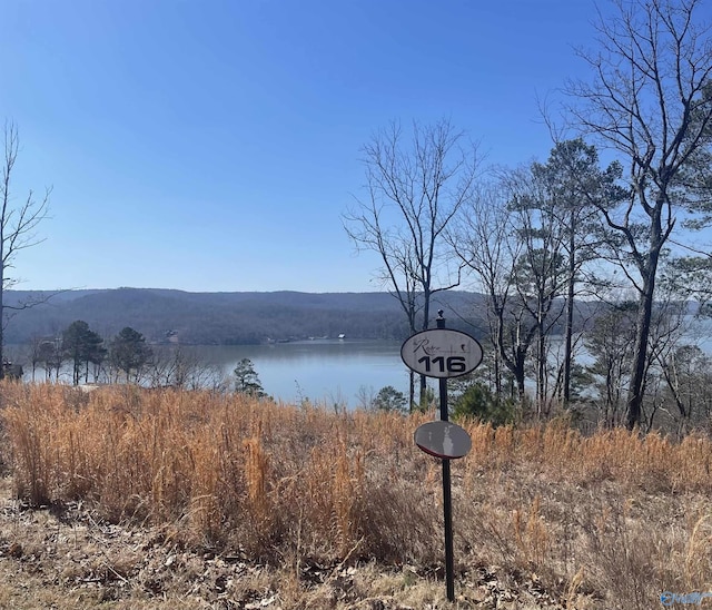 116 Boathouse Dr, Guntersville AL, 35976 land for sale