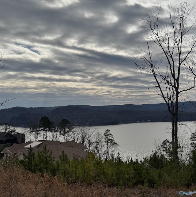 Listing photo 2 for 116 Boathouse Dr, Guntersville AL 35976