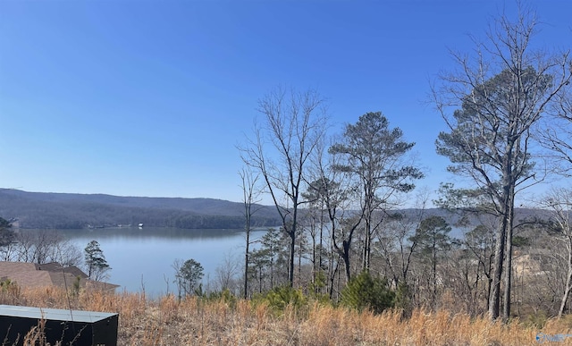 Listing photo 3 for 116 Boathouse Dr, Guntersville AL 35976