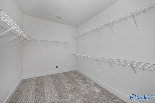 walk in closet featuring carpet