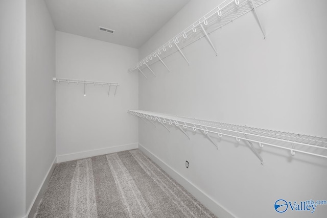 spacious closet featuring carpet flooring