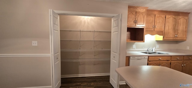 113 Sycamore Pl, Athens, AL 35611 - kitchen with a sink, light countertops, dark wood-style flooring, and white dishwasher