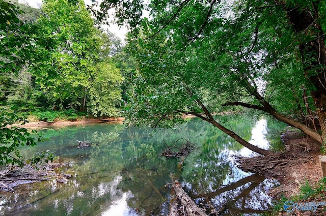 view of nature featuring a wooded view