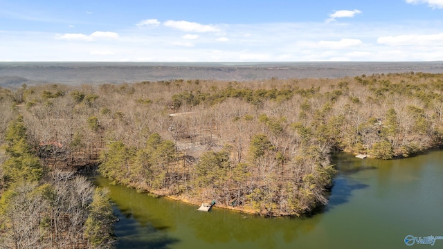 aerial view with a water view and a wooded view