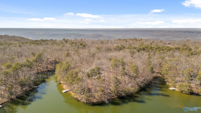 drone / aerial view with a water view and a view of trees