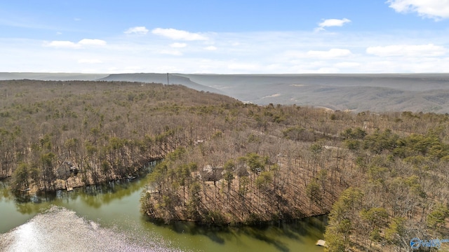 drone / aerial view featuring a water view and a forest view