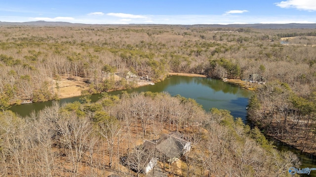 birds eye view of property with a forest view and a water and mountain view