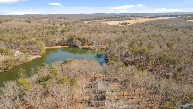 drone / aerial view featuring a water view and a view of trees