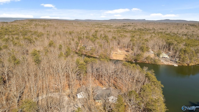 bird's eye view featuring a wooded view and a water and mountain view