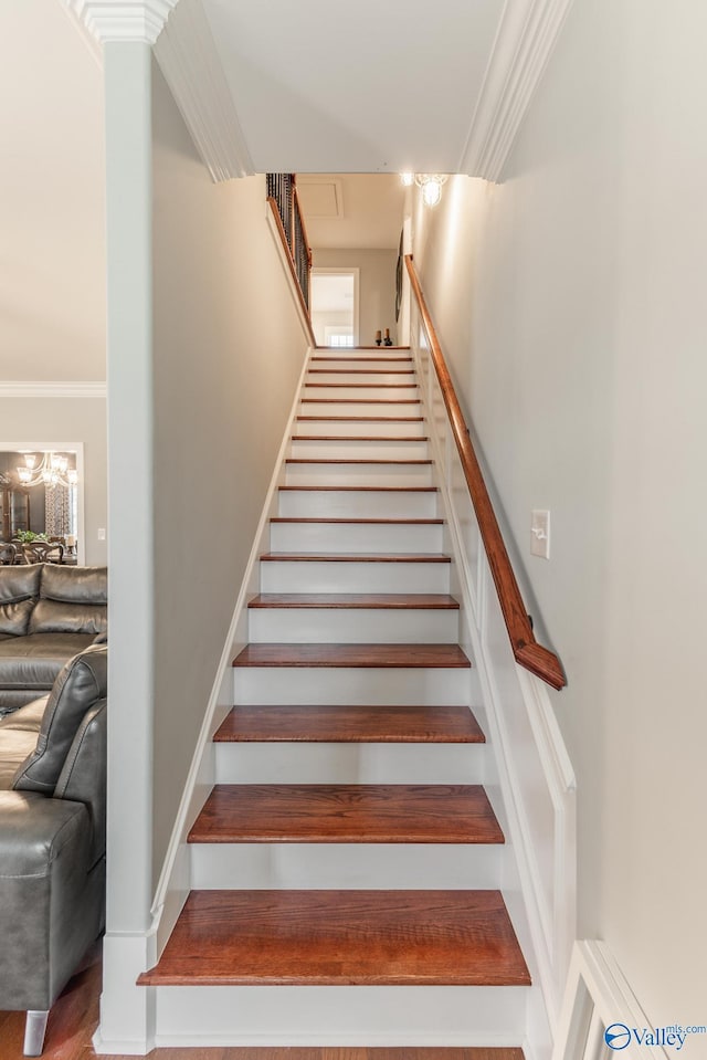 stairs featuring wood-type flooring and ornamental molding