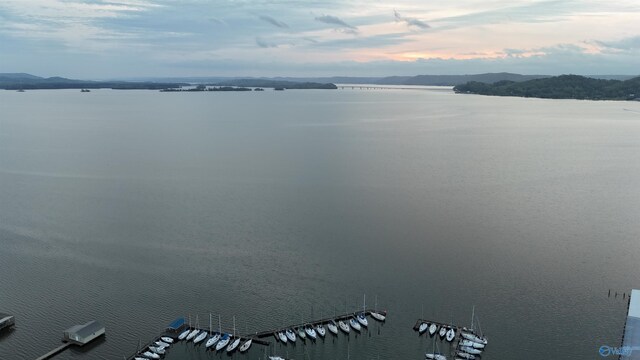 5ACRES Browns Creek Rd, Guntersville, AL 35976