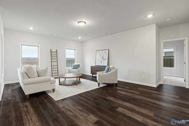 living room featuring dark hardwood / wood-style flooring