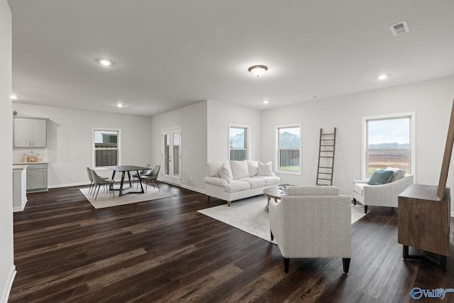 living room featuring dark wood-type flooring