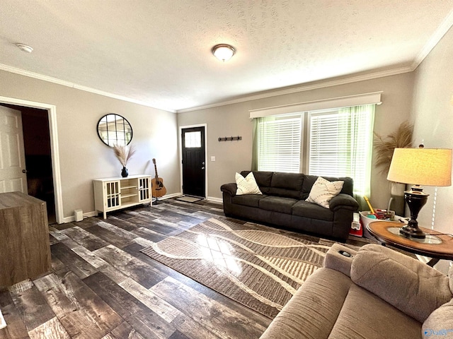 living room with dark wood-style flooring, crown molding, a textured ceiling, and baseboards