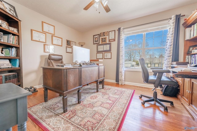 home office featuring ceiling fan and light hardwood / wood-style flooring