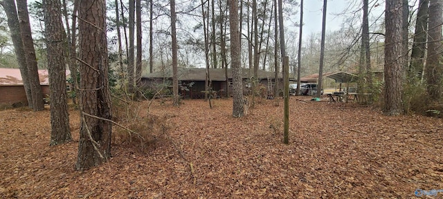 view of yard with a carport