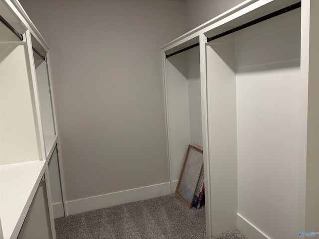 walk in closet featuring carpet