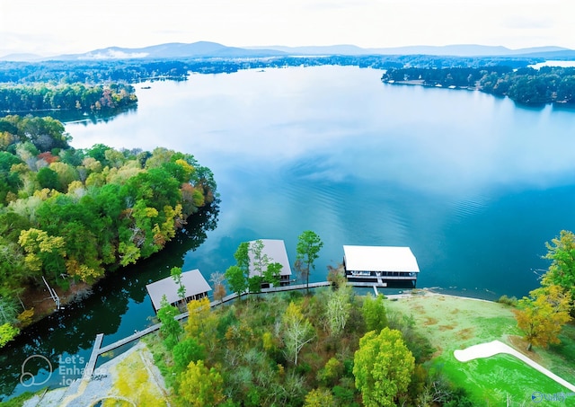 186 Monte Sano Dr, Scottsboro, AL 35769