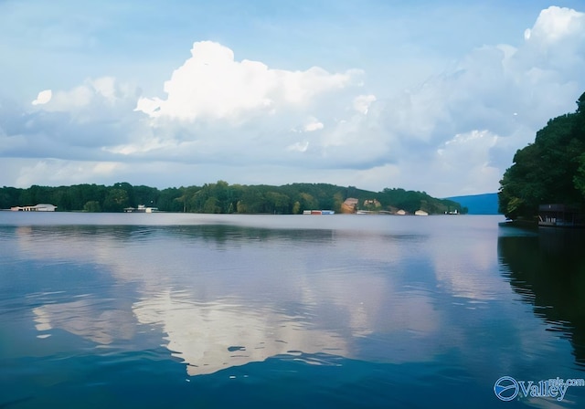 186 Monte Sano Dr, Scottsboro, AL 35769