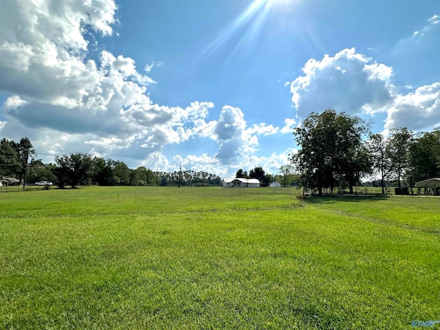 view of yard featuring a rural view