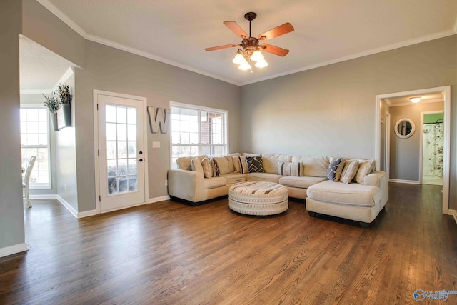 living room with a wealth of natural light, dark hardwood / wood-style floors, ceiling fan, and crown molding